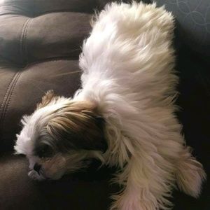 Meet your Posher, Jaswha